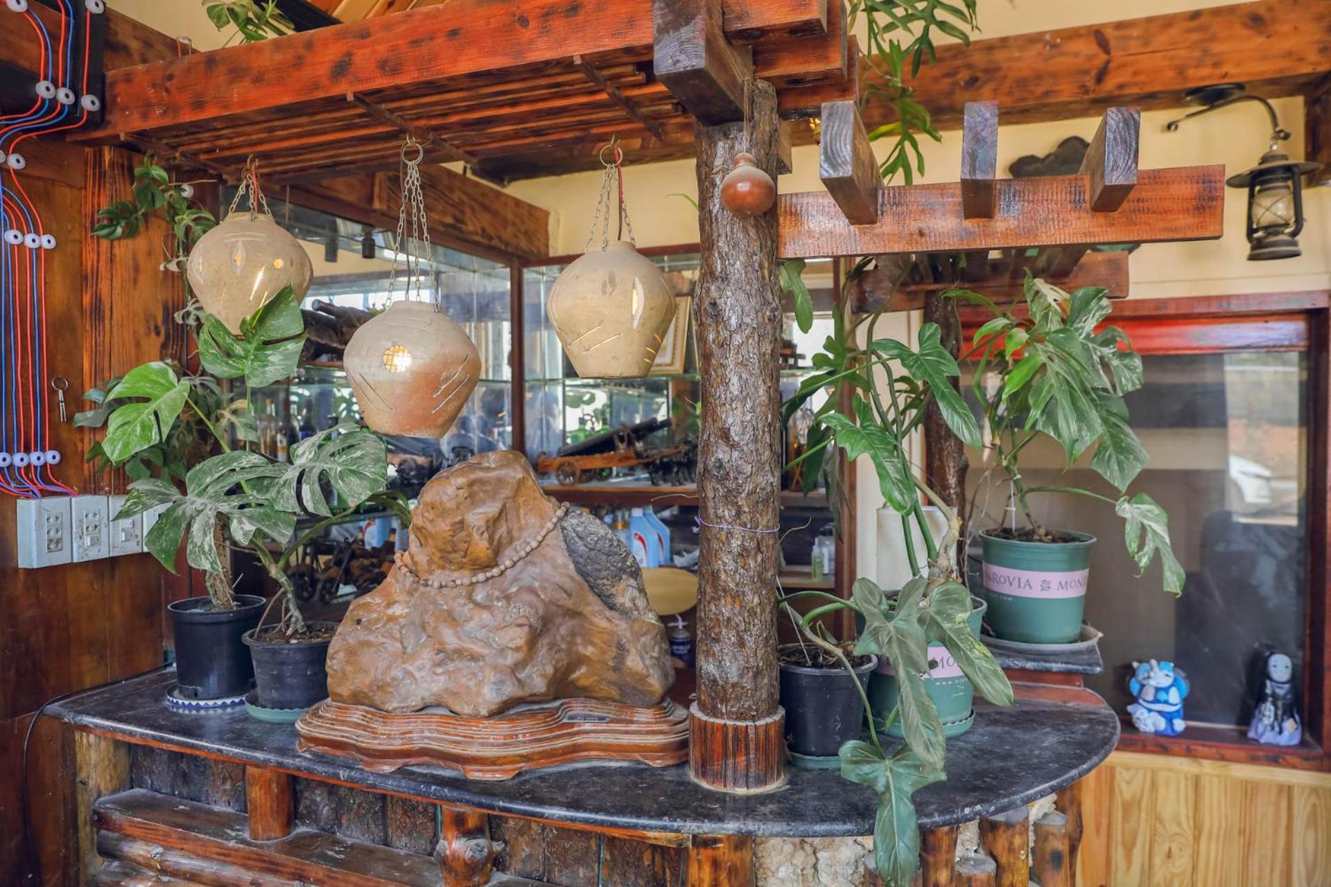 Ziczac Homestay Dalat Eksteriør bilde